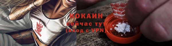прущий лед Бородино