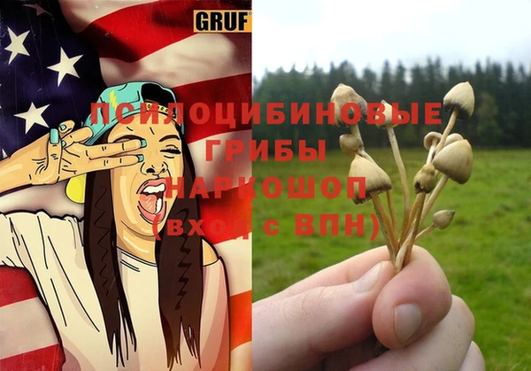 прущий лед Бородино