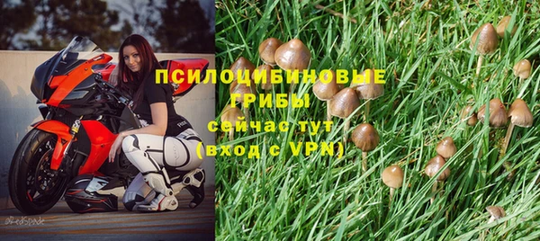 a pvp Богданович