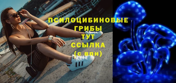 прущий лед Бородино