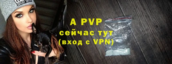 прущий лед Бородино
