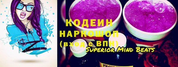 прущий лед Бородино