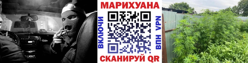 где купить наркоту  Дигора  Каннабис MAZAR 